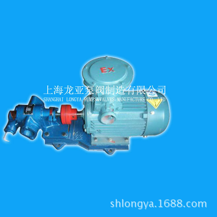 生产YCB-G25-0.6齿轮油泵 大流量不锈钢齿轮泵 齿轮泵系列