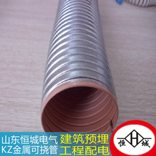 可撓性金屬電線保護套管 直銷批發供應鍍鋅可撓電氣導管