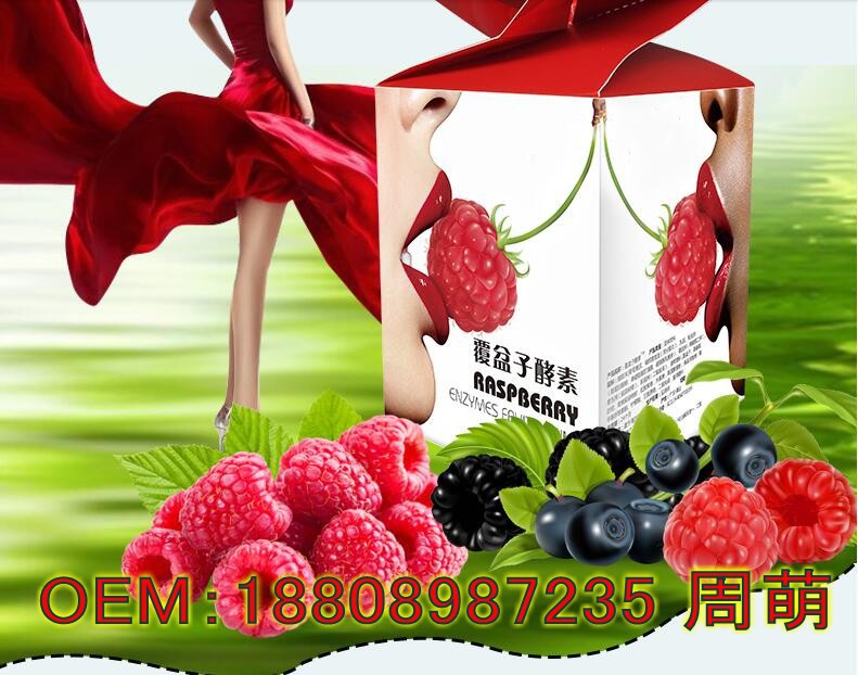 综合果蔬水果覆盆子酵素粉_conew2