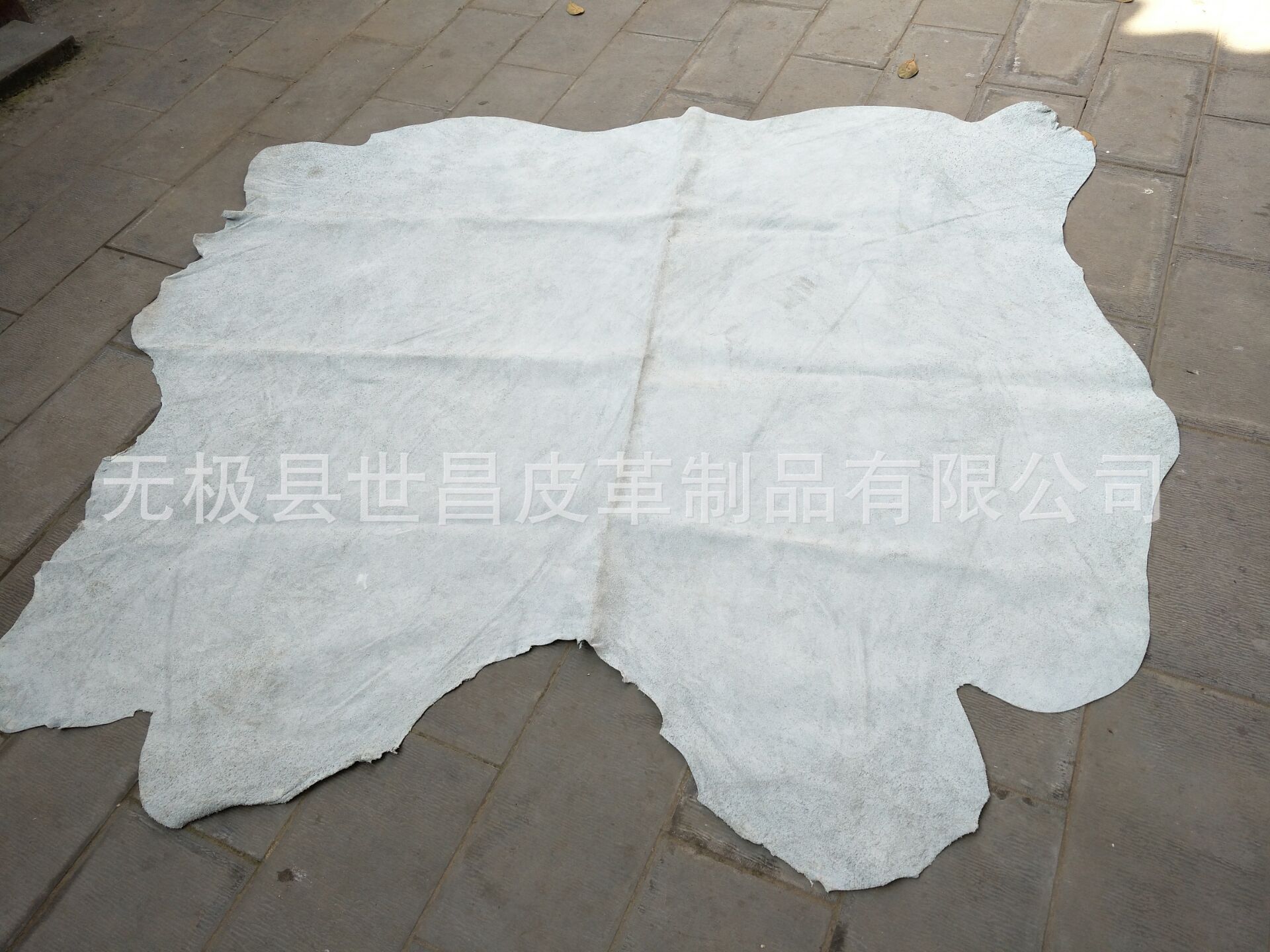 水牛二层皮胚 水牛皮皮胚 黄牛二层皮胚 黄牛皮