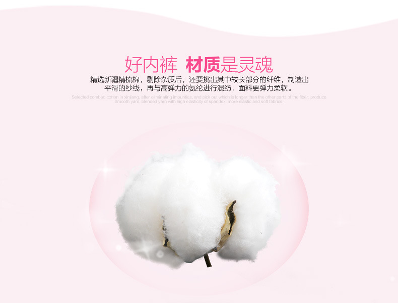 Slip jeunesse M001+ en coton - Ref 650956 Image 40