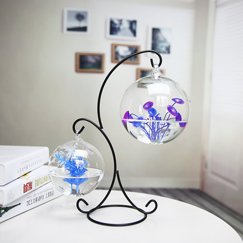 Hanging transparent betta fish tank, desktop small aquarium, mini goldfish tank, glass creative ecological fish tank