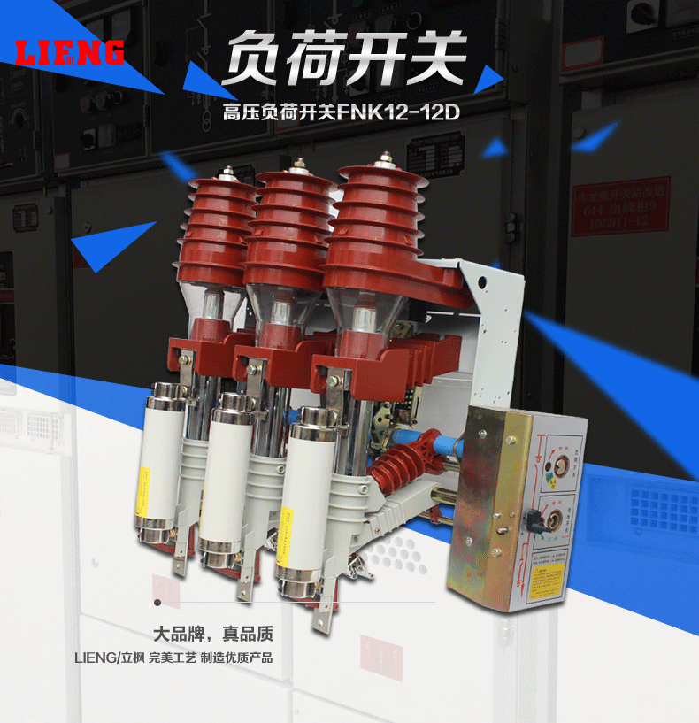 户内高压负荷开关 FN12-12D 10kv 12kv 网柜