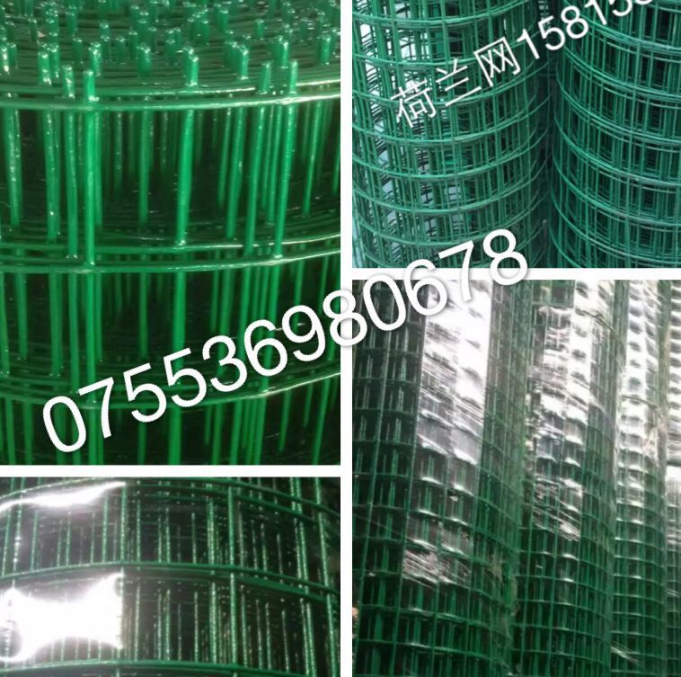 电焊网  养殖防护网安  包塑网送货及时 绿色浸塑网 焊接网