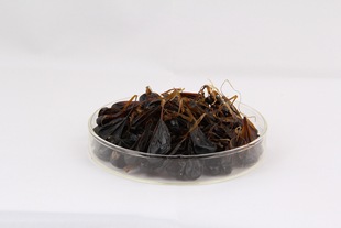 ��đ��/���I�S��/ș���׼/�|�����C/����r��