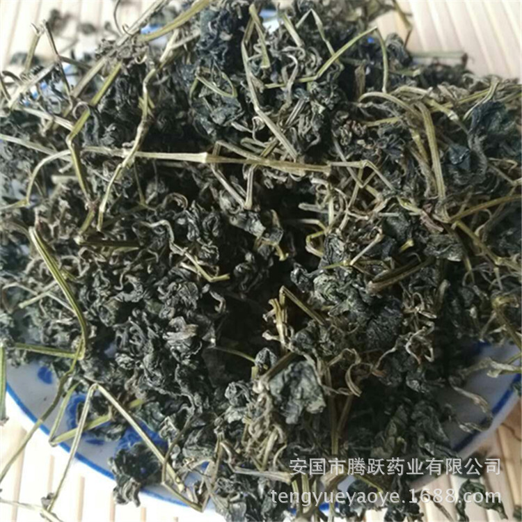 Jiaogulan Granules Gynostemma Loose Bulk Herbal Tea 500g overview
