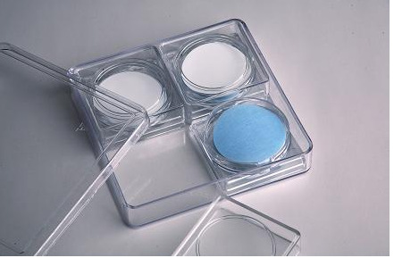 SDI污染指数测试膜 0.45μm 微孔滤膜 SDI膜 SDI滤膜