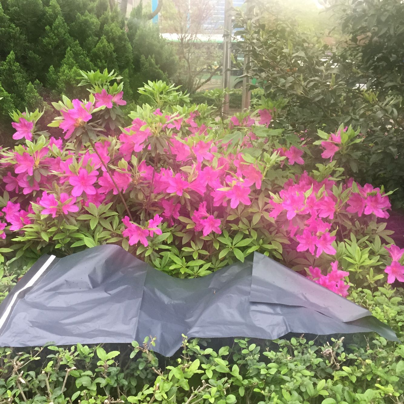 QQ图片20160407114251