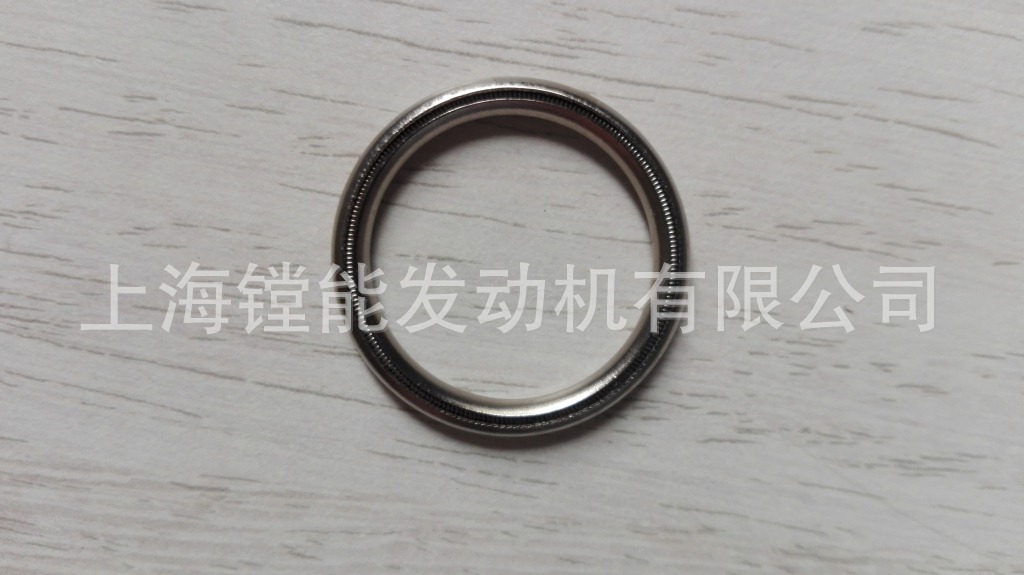 MTU密封圈0000170960_MTU发动机零部件_原装进口