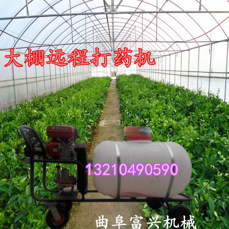 农用打药机 手推式带箱喷雾机大型手推式喷雾器