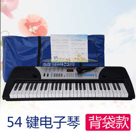 新韵XY-833电子琴 54键数码钢琴键成人儿童初学入门教学厂家直销