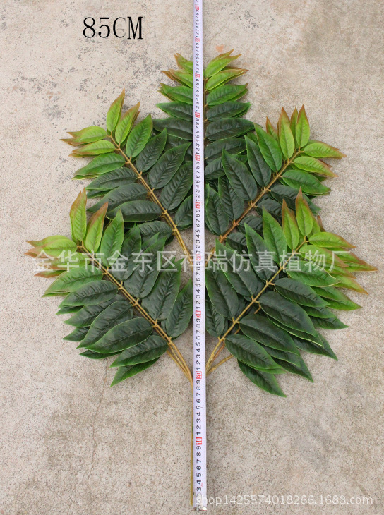 XRB-150天堂叶五叉枝2