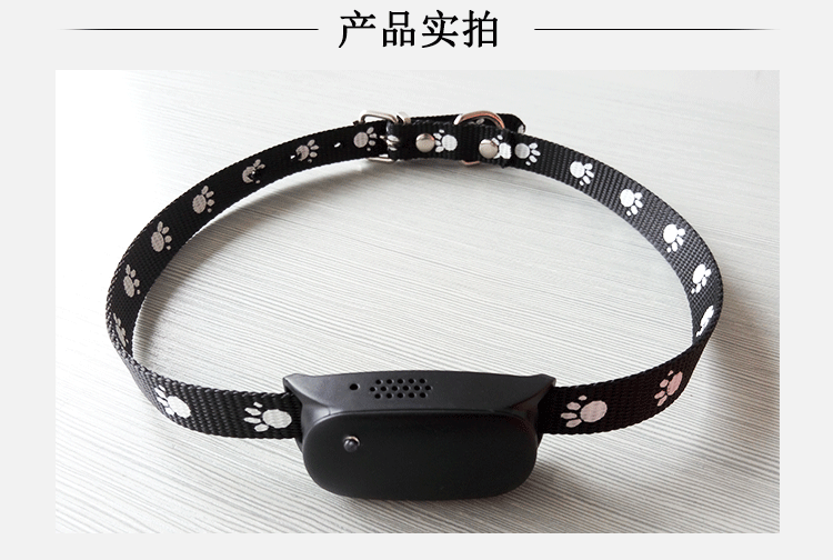 2955488944_1048139226