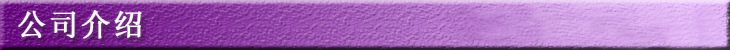 紫色公司简介