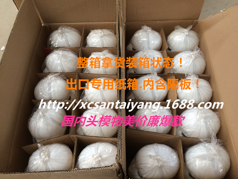 IMG_3120_副本_副本