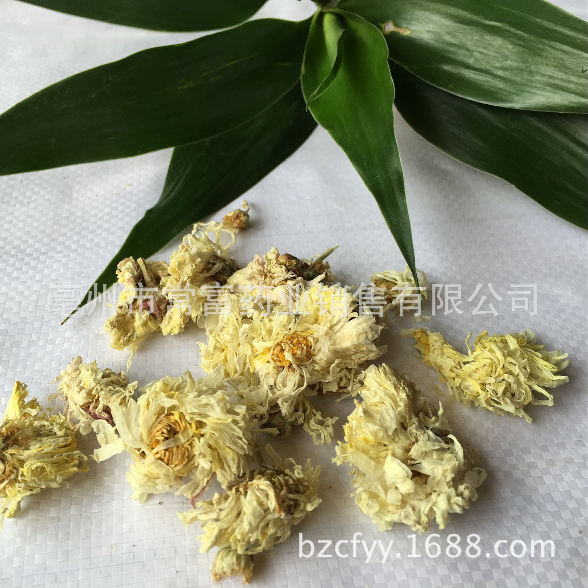 Bo Chrysanthemum Flower Bo Ju Hua Dried Whole Flowers for Tea and Culinary Use 500g Natural Sun Dried Bulk key features