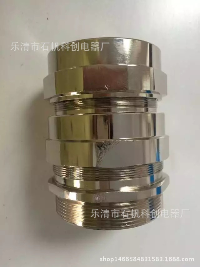 3寸 双密封电缆夹紧密封接头 不锈钢 非标定制. PF3/4 PF螺纹