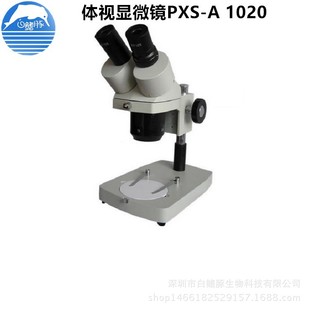Шанхайский PXS-A1020 Терминальная микроскопия зрения