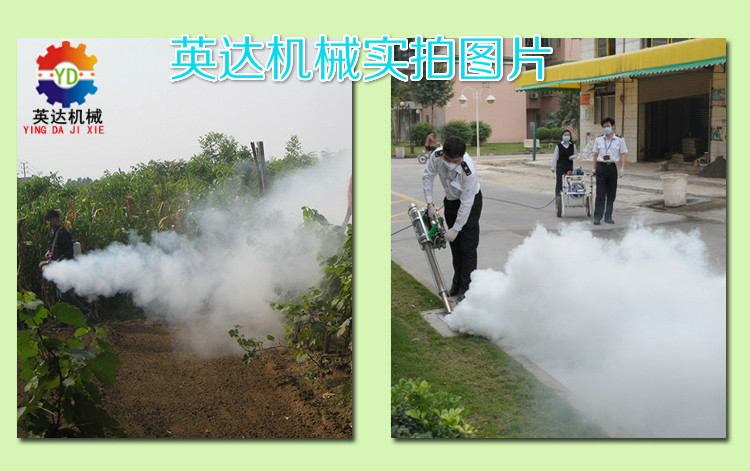 一件代发货源英达汽油动力远射程弥雾机 新型不锈钢烟雾机厂家