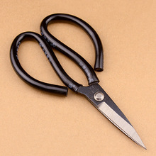 ���ü��������׹����ù��I���������FƤ��Ƥ����ÿp����������