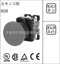 늙CΦ22o_PB2B01RB2B01GB2B01Y