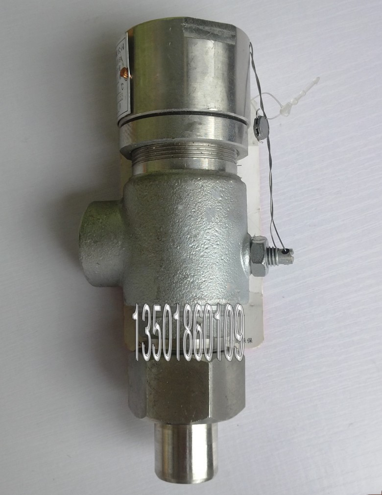 A21Y-100R A21H A21W 316不锈钢外螺纹弹簧式安全阀DN10 15 20 25