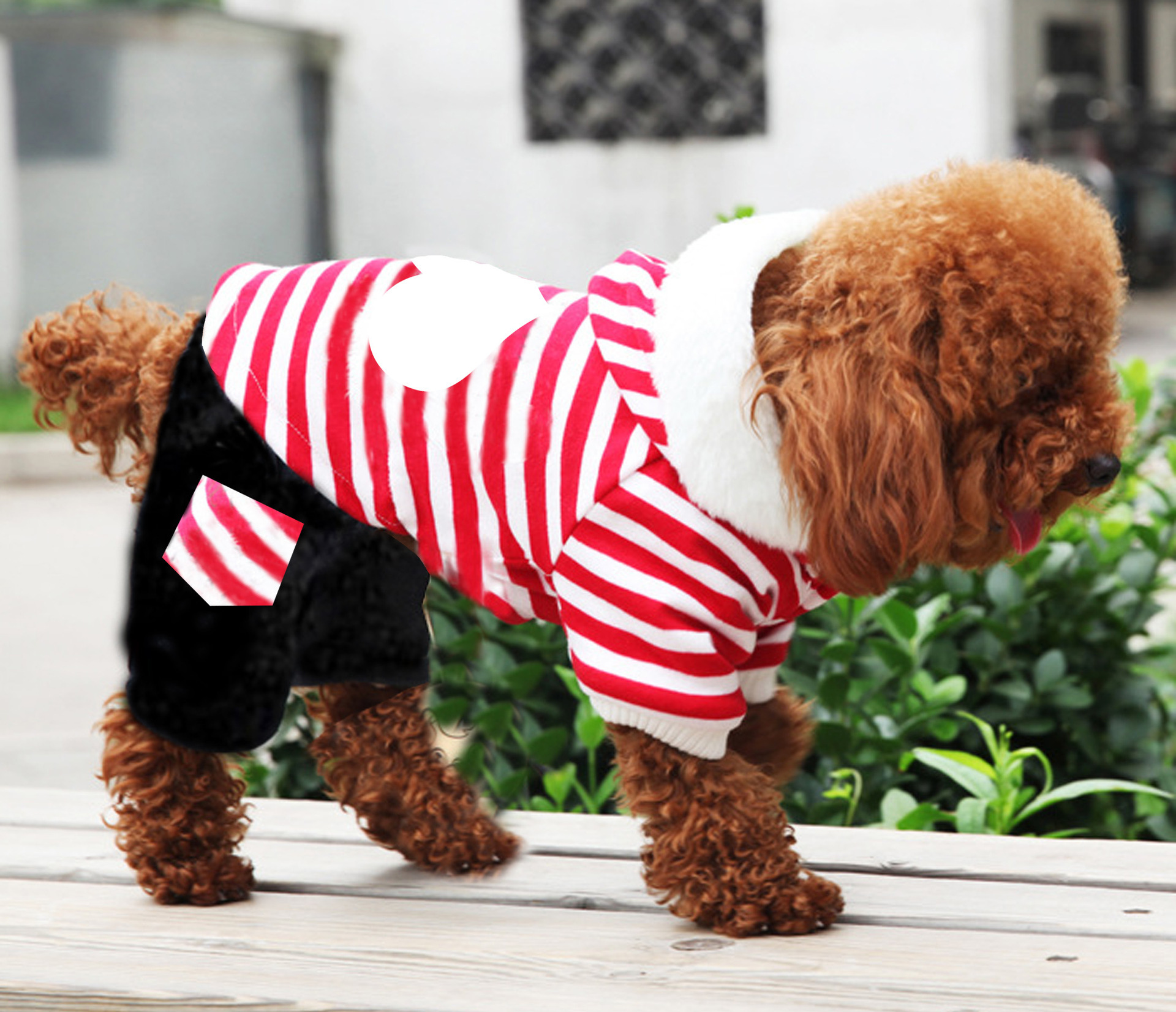 Dog Clothes Wholesale Autumn and Winter New Product Pet Quarter…