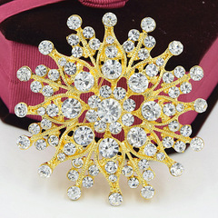 Gilded brooch with European and American high-end fashion, elegant women's clothing brooch, alloy collar pin accessory