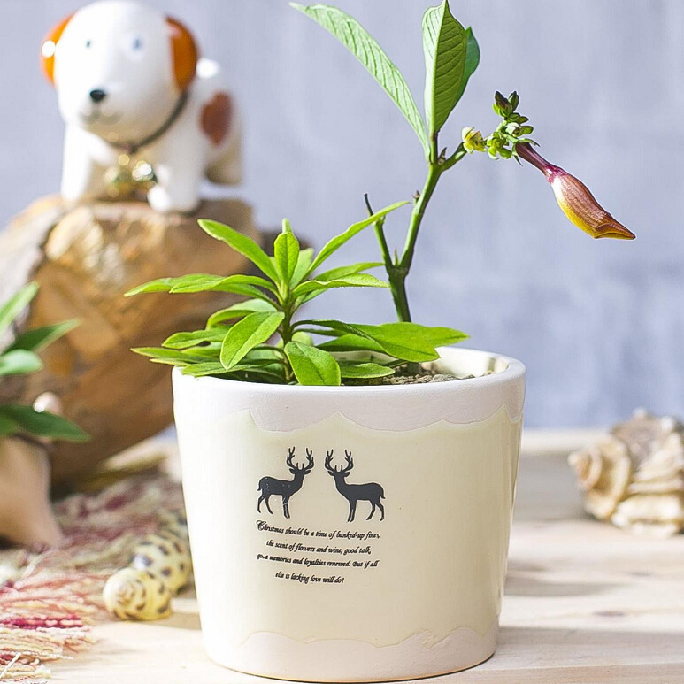 新款热销 麋鹿图案圆形花盆 可降解 北欧风格 小盆栽 多肉花盆
