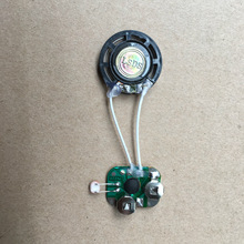 ��ؿ͹�48����������