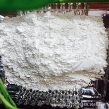 廠家批發供應貝殼粉  飼料級貝殼粉 塗料用白色貝殼粉