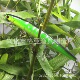 Shallow Diving Minnow Lures Hard Plastic Baits Bass Trout Fresh Water Fishing Lure