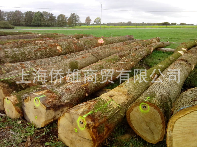 歐洲白橡木原木-2600元（1立方米）2