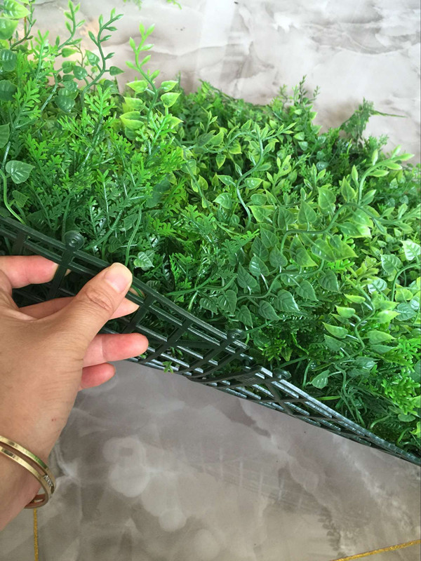 QQ图片20160707150254_副本