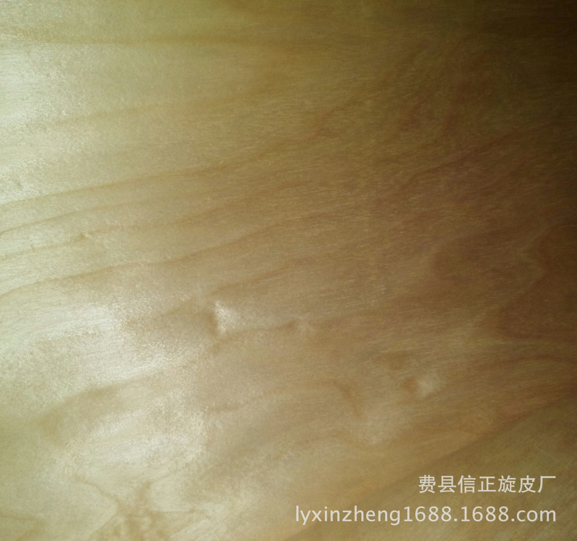 IMG_20160401_144615-1