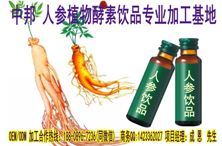 人参饮品加工