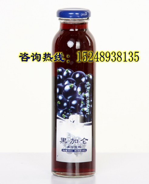 黑加仑饮料_conew1