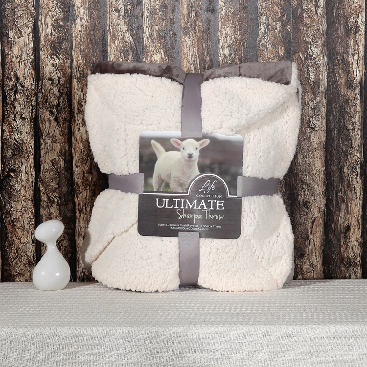 Directo de fábrica de doble capa de lana de cordero manta de franela engrosada coral polar manta de color sólido impreso LOGO al por mayor