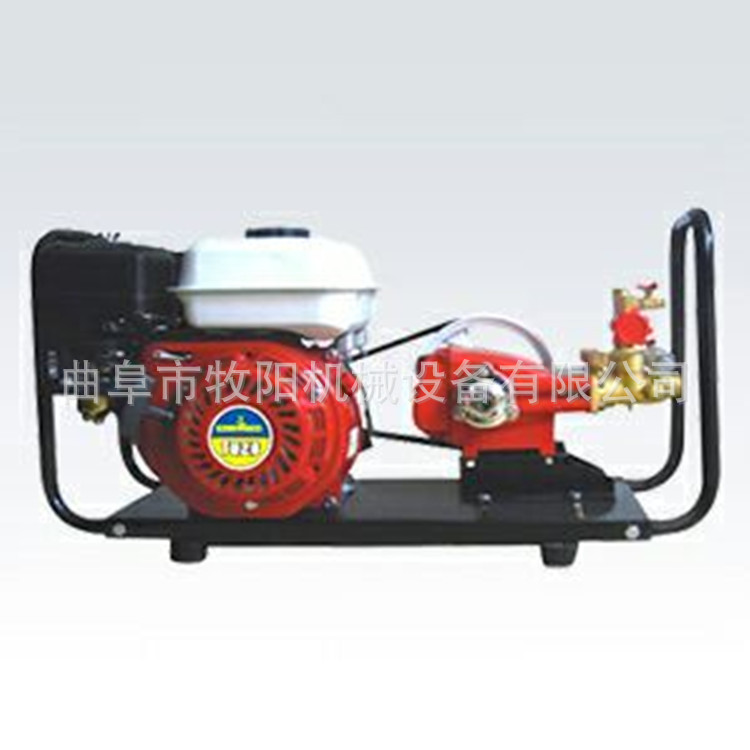 厂家直供背负式高压机动喷雾打药机