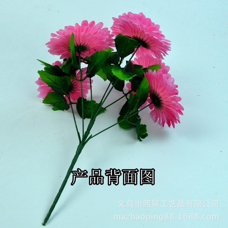 7头非洲菊细节图1