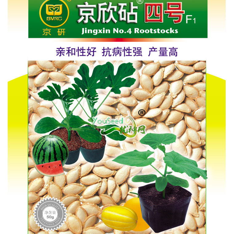 wholesale Beijing Xin watermelon Dedicated grafting Stock Strong resistance,High yield -50 gram