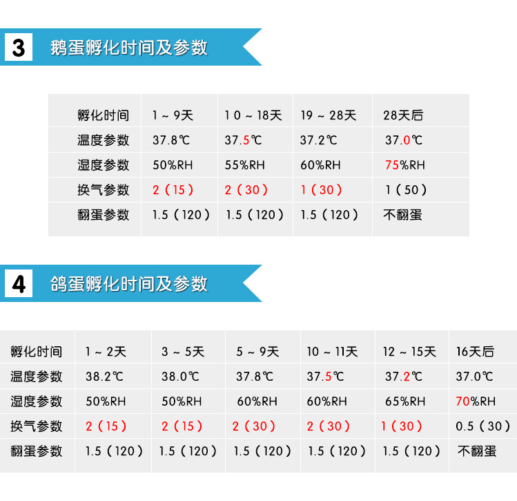 探索山鸡孵化技术：现代农业与传统养殖的新篇章