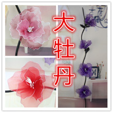 丝网花材料批发曲柳干花干枝开口笑落地花杆龙柳柳条大牡丹花