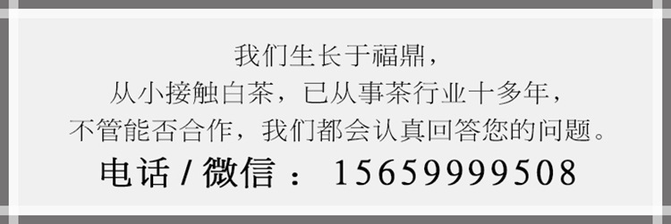 联系方式