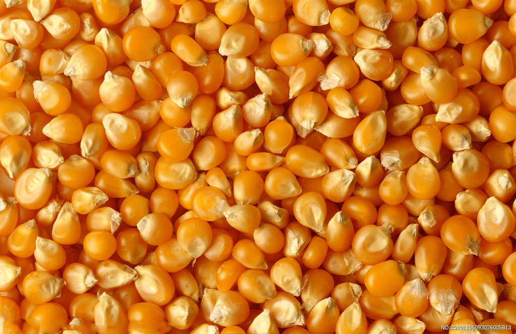 4877686_093026005813_2