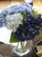 Deep blue