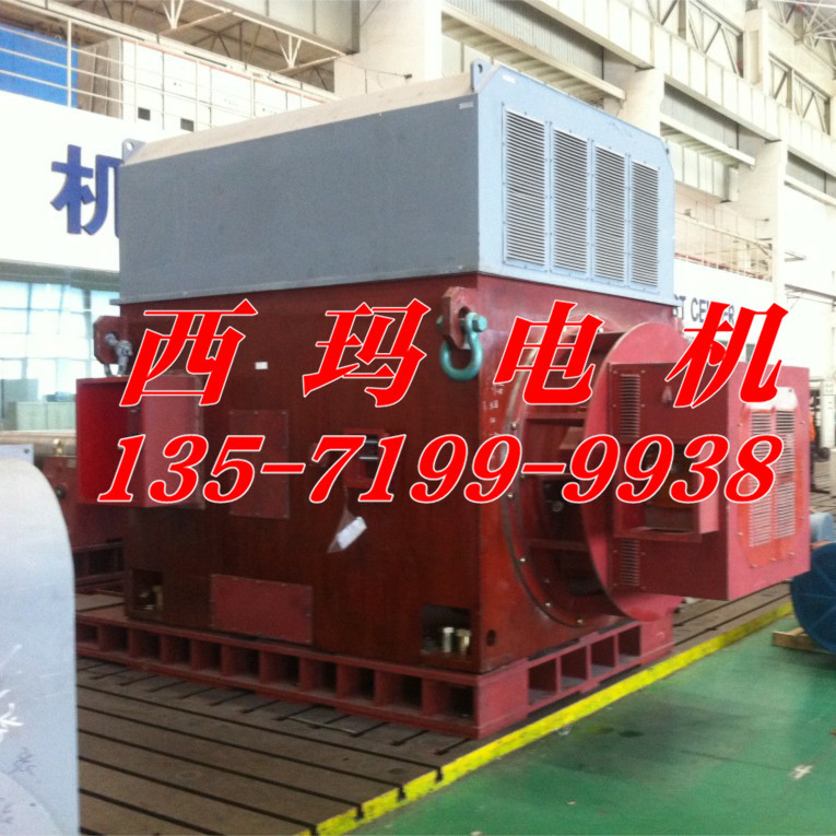 YRKK6303-10 900KW 6KV IP44/IP54����������������͸�ѹ���
