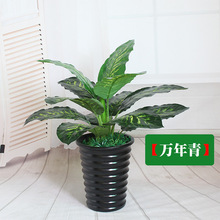 �҃ȷ���ֲ�����ԾG��ʯ�Ƶ�͏d����b��f������~�쾰�b���