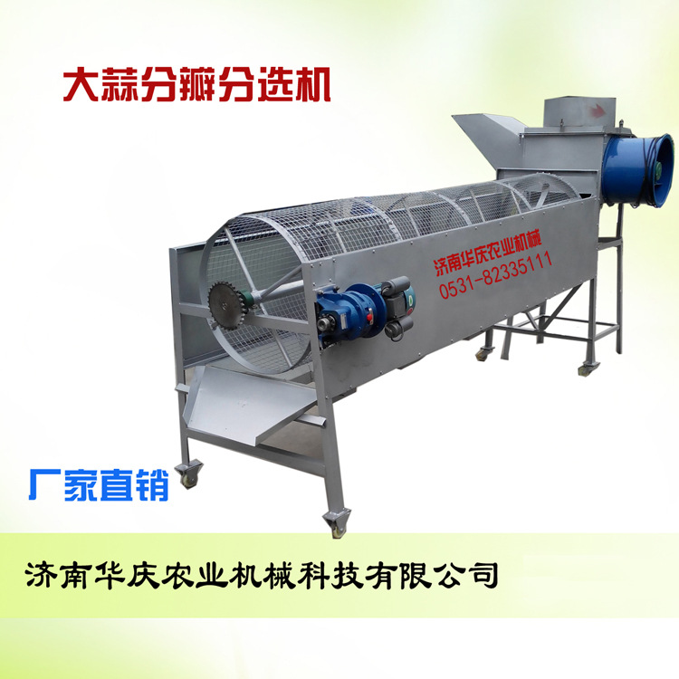 供应蒜种剥瓣机   破瓣机  家用大蒜掰瓣机    蒜头分瓣分选机