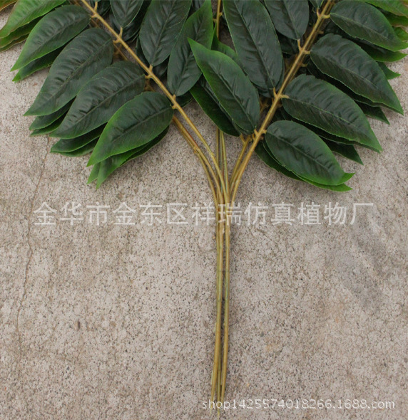 XRB-151天堂叶三叉枝3